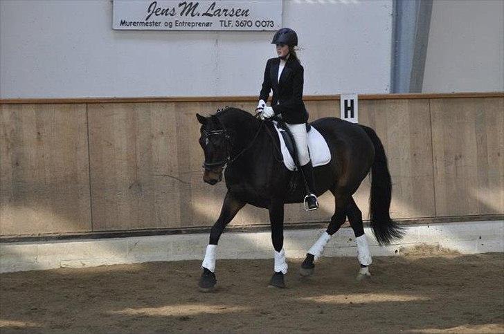 Oldenborg Aliczee - Mig der rider et LC 1 program til dressurstævnet den 18/03 - 2012 på Parcelgården. 
 - Red til 64,583% og det var mit første stævne med galop :D billede 5