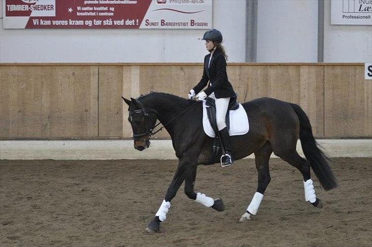 Oldenborg Aliczee - Mig der rider et LC 1 program til dressurstævnet den 18/03 - 2012 på Parcelgården. 
 - Red til 64,583% og det var mit første stævne med galop :D billede 18