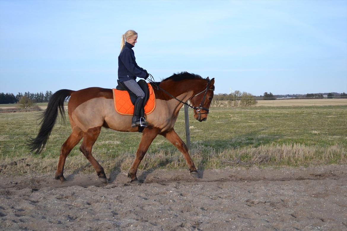 Traver Lemon Ribe - fra efteråret 2011 billede 11