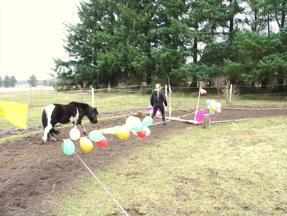 Anden særlig race Albert Lurifaxe - Vent på mig! billede 9