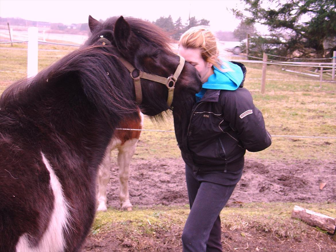 Anden særlig race Albert Lurifaxe - et lille pony mys billede 8