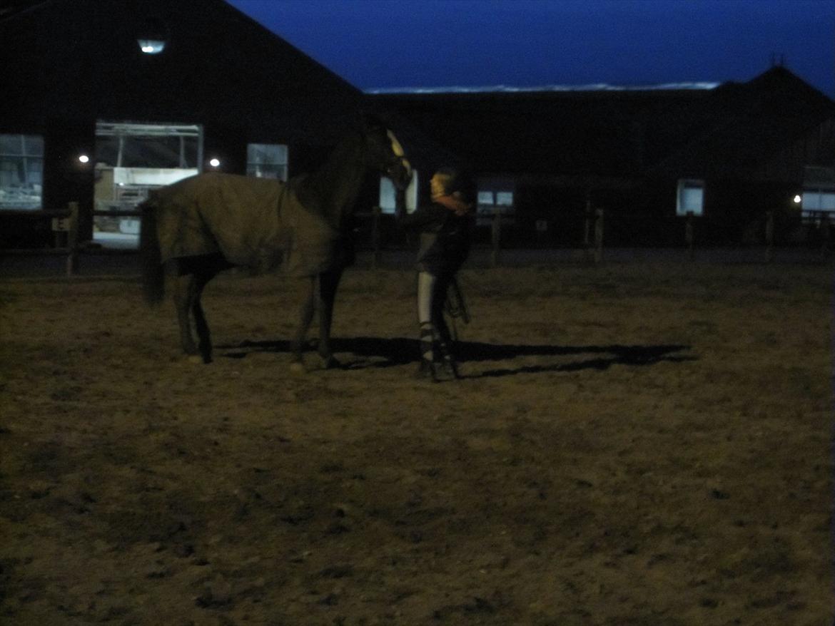 Dansk Varmblod Niki - undskyld dne dårlige kvalitet.. usp :D  billede 5