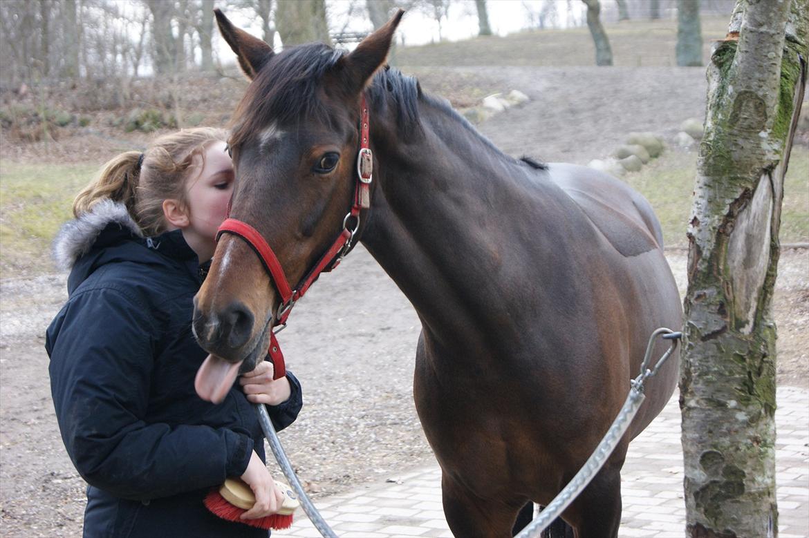 Tysk Sportspony Nixe Noel - My very best friend <3 
Oktober 2011 billede 10