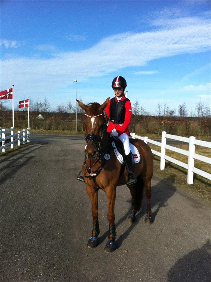 Irsk Sportspony Rivertown's Rose - Distrikt stævne - hedensted og omegnsrideklub. 
River i hedensted efter la** <3 billede 15