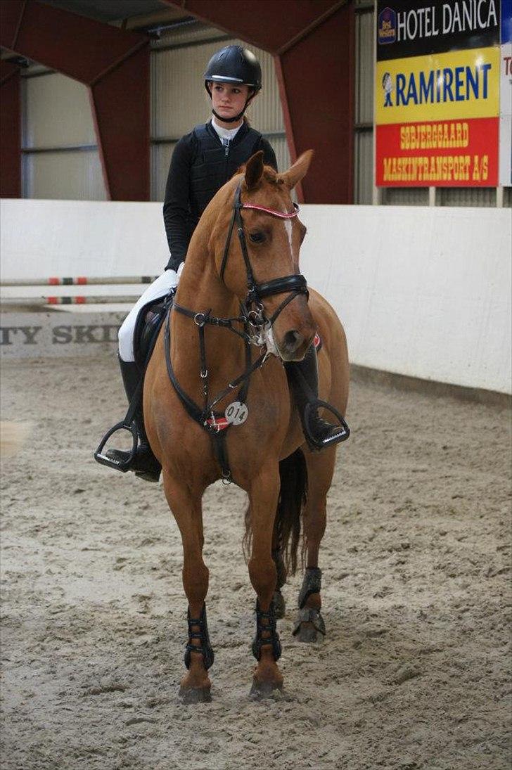 Irsk Sportspony Rivertown's Rose - Distrikt stævne - Silkeborg rideklub.
Præmieoverrækkelse la** (-: billede 16