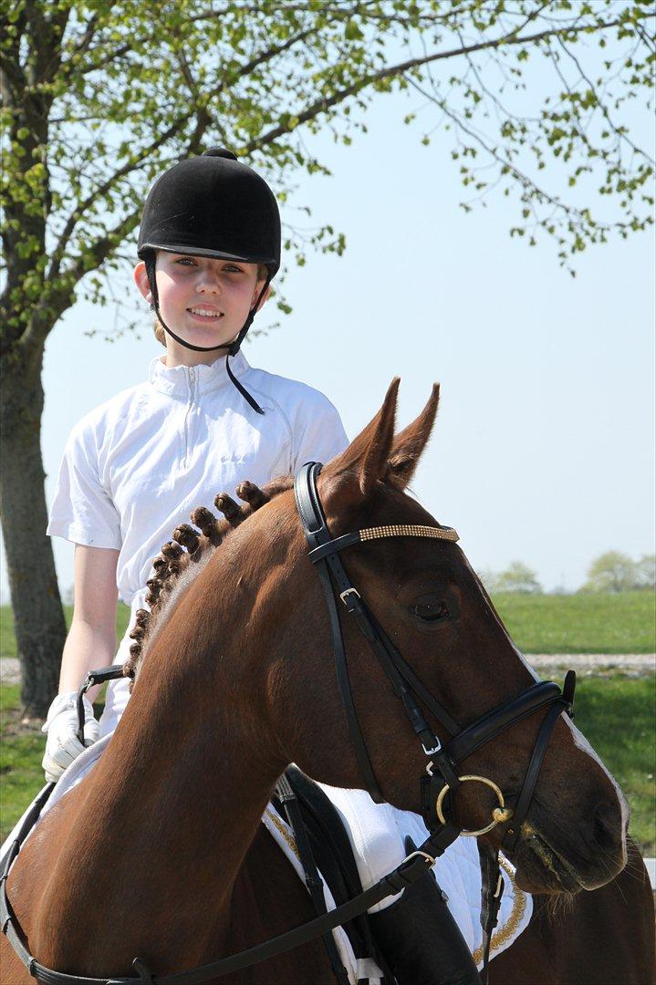 DSP Maj I af Lergraven billede 20