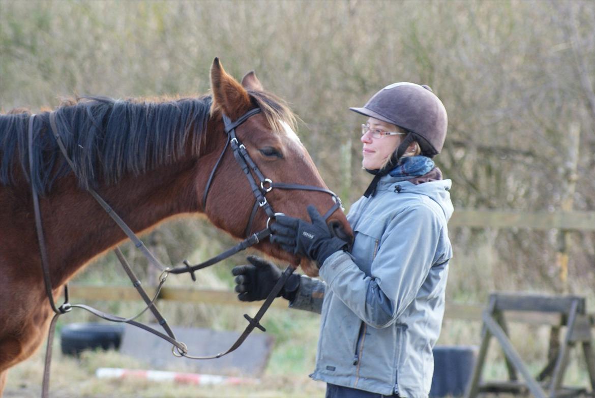 Dansk Varmblod Vida Linda - dec 2011 billede 8