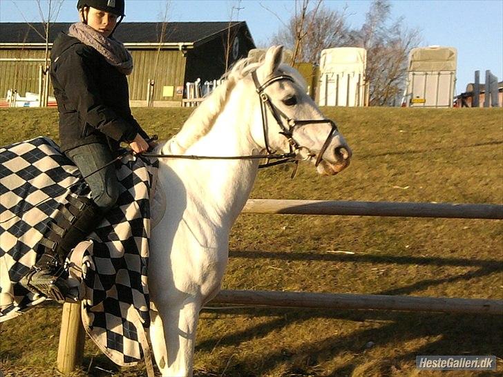 Anden særlig race * Cirkeline * # Min tøz # <3 - Mig der opvarmer på Cirkeline (:
Fotograf: Marika (: billede 6