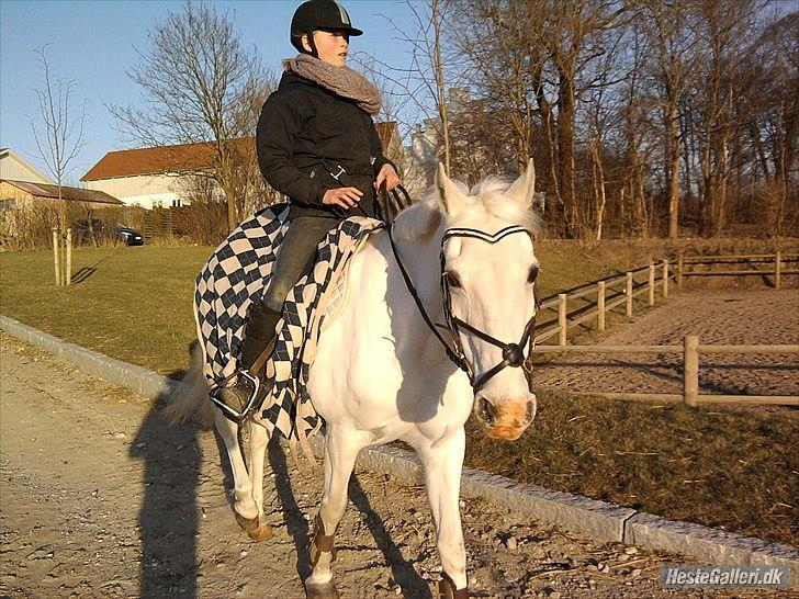 Anden særlig race * Cirkeline * # Min tøz # <3 - Min dejlige Cirkeline(:
Fotograf: Marika (: billede 9