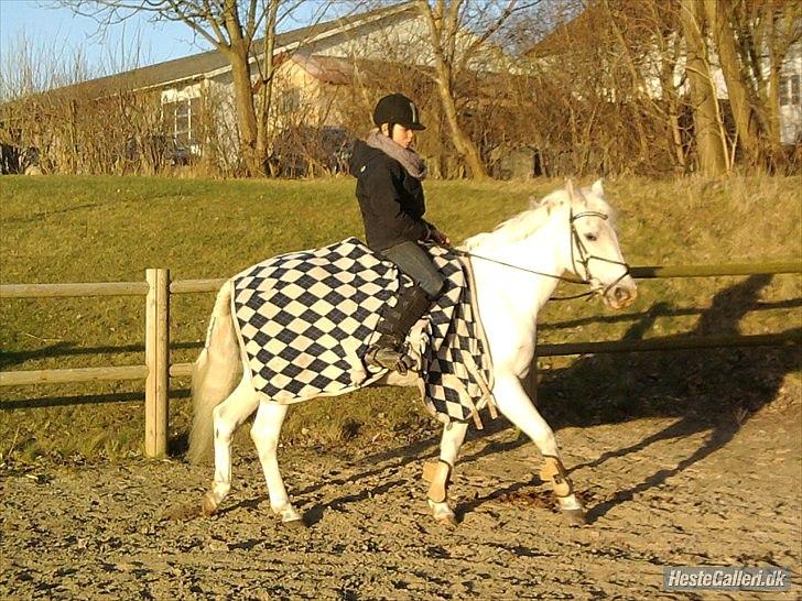 Anden særlig race * Cirkeline * # Min tøz # <3 - Cirkus (:
Fotograf: Marika (: billede 12