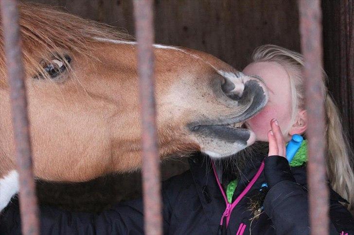 Anden særlig race Sønderstrandens Pepsi [Solgt] - Mysseren giver et lille møs :-*
Vinterferie 2012 billede 11