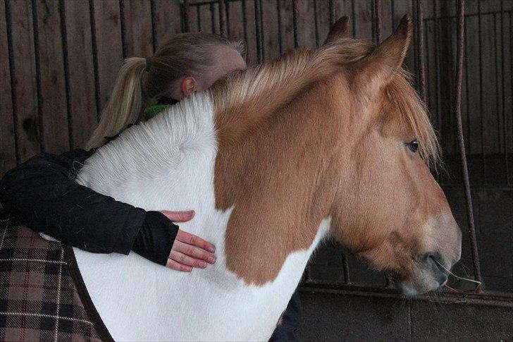 Anden særlig race Sønderstrandens Pepsi [Solgt] - <3 Det handler ikke om at fine en man kan leve med, men en man ikke kan leve uden <3 Pepsi du betyder så meget for mig <3 det vil altid være en plads til dig min skat <3 billede 15
