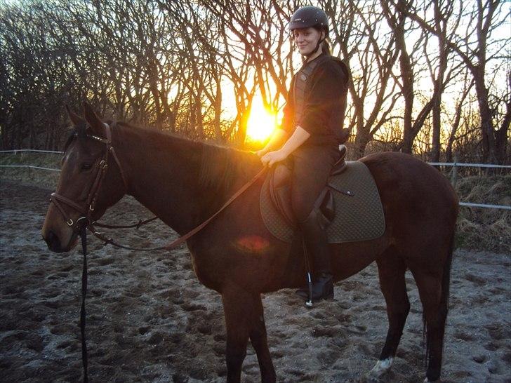 Fuldblod (XX) Indian Amy - Første gang med rytter billede 11