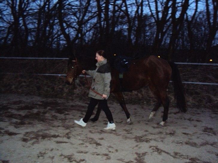 Fuldblod (XX) Indian Amy - Indi og Patricia billede 8