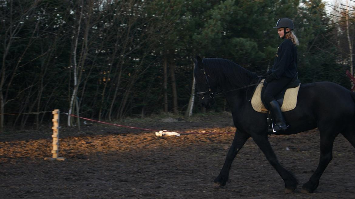 Frieser Tsjitse F Hyllested Østergaard - Ingen er perfekte!<3<3 billede 4