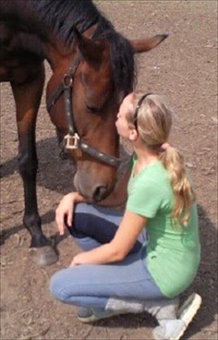 Dansk Varmblod Cameo Star Wind - Du er mit et og alt, mit liv, min hverdag, du er den der gør mig til den jeg er <3  billede 10