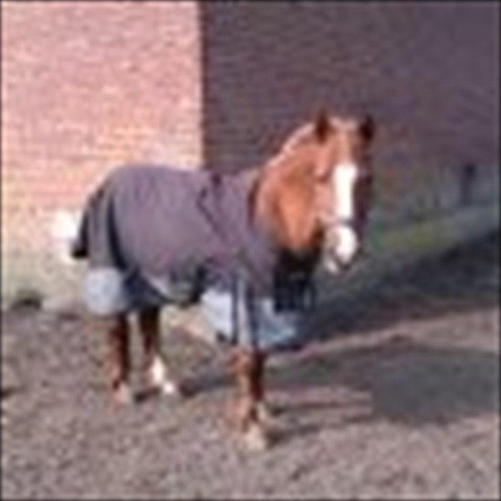 DSP sunshine (part) - øv, hg gør billedet sløret!  billede 2