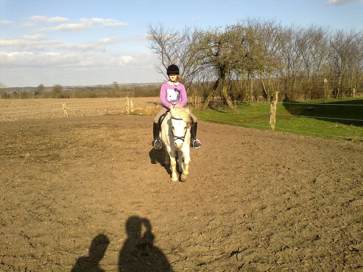 Anden særlig race Bella <3 Hvil i fred  <3 - 21.03.12 billede 17
