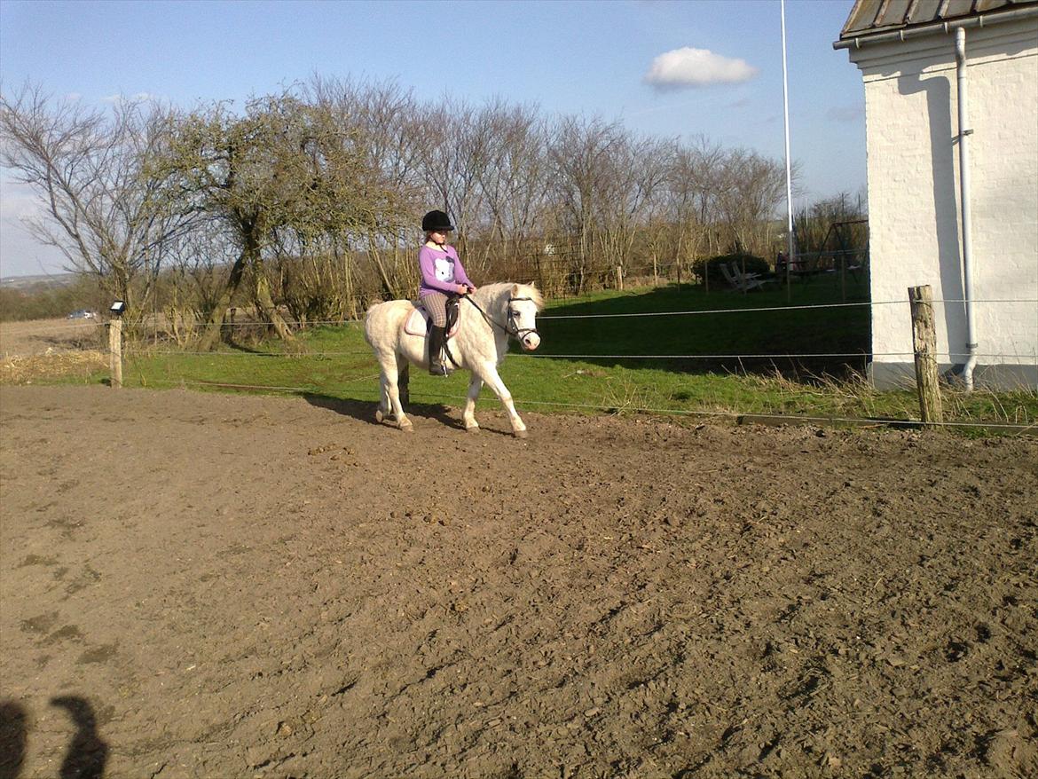 Anden særlig race Bella <3 Hvil i fred  <3 - det her er et af mine nye billeder taget d. 21/3.12  billede 15