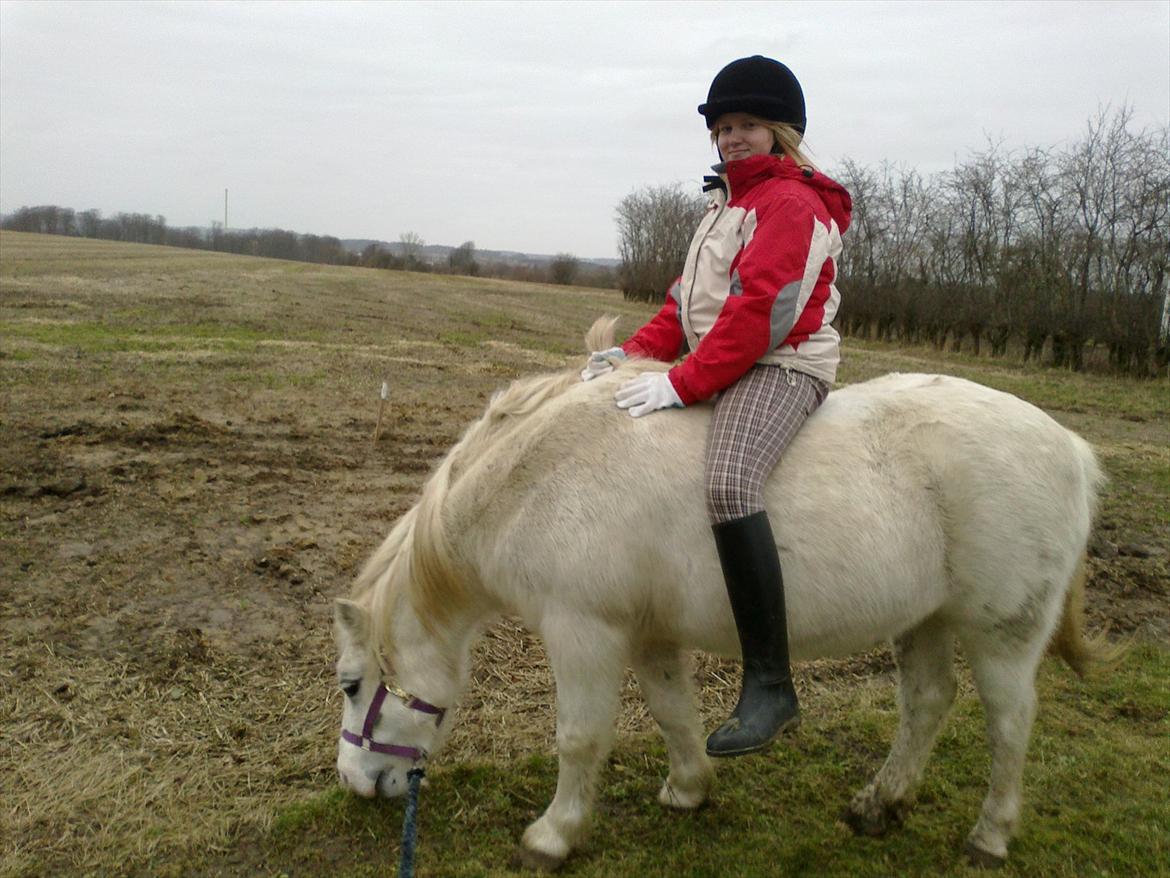 Anden særlig race Bella <3 Hvil i fred  <3 - en dag efter ridning der skal jo også være plads til at æde lidt græs hehe billede 18