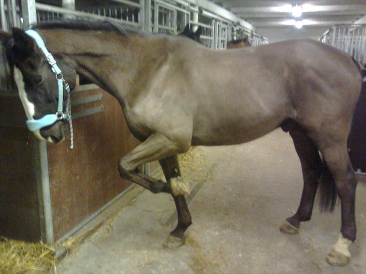 {{currentPhoto.altText}} billede {{currentPhoto.number}}