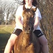 Knabstrupper Nynne!<3 ~ Mit eventyr!<3