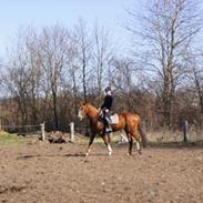 Oldenborg MSP's Touch of class