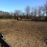 Oldenborg MSP's Touch of class