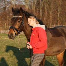 New Forest Roløkke Sorbet