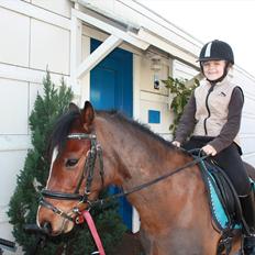 Welsh Pony (sec B) Korreborgs Pinot