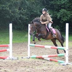 Oldenborg Murmann's Pil