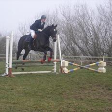 Oldenborg Siegård's flexness