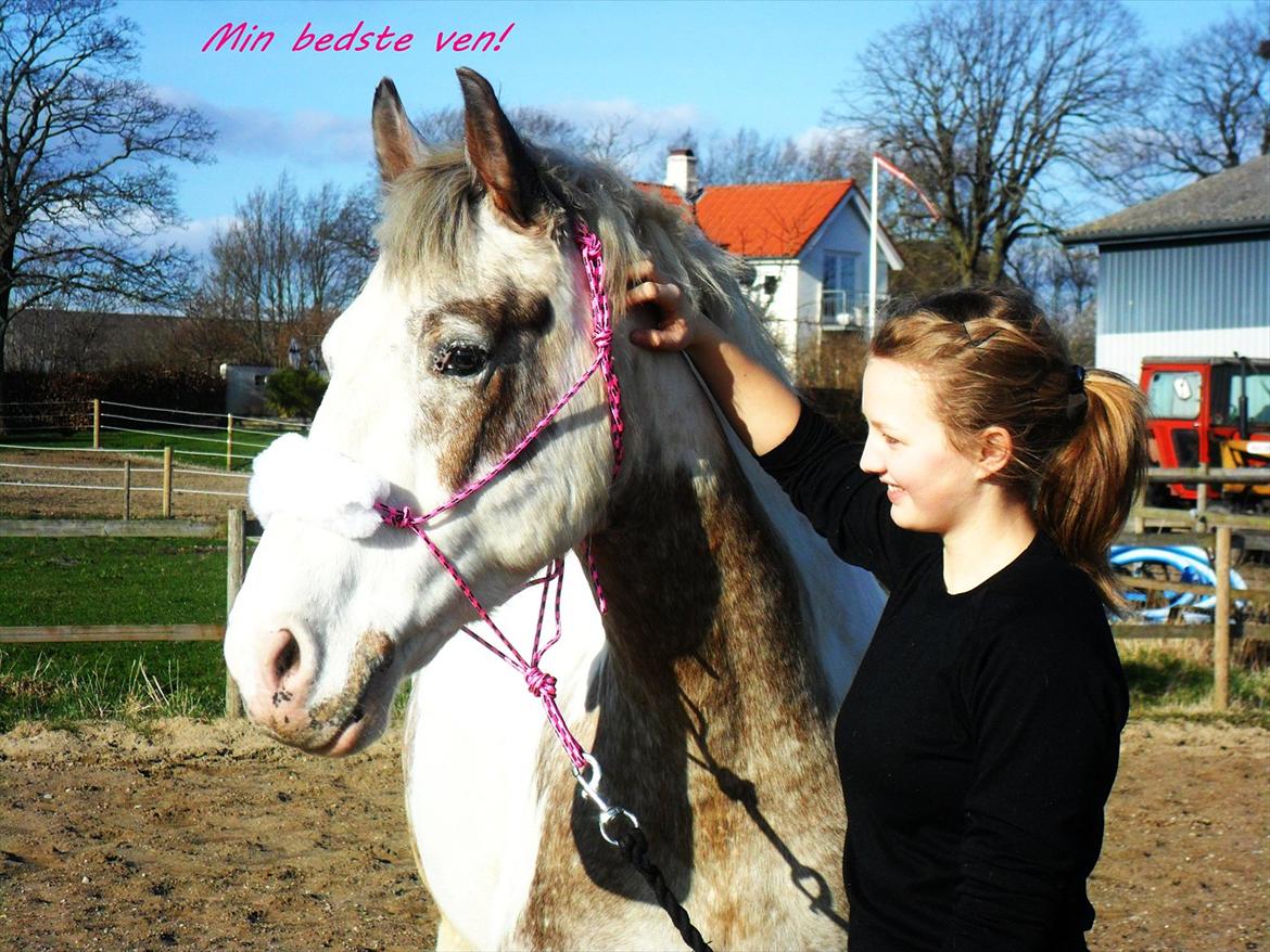 Anden særlig race MR MARTIN - Min bedste ven!  billede 3