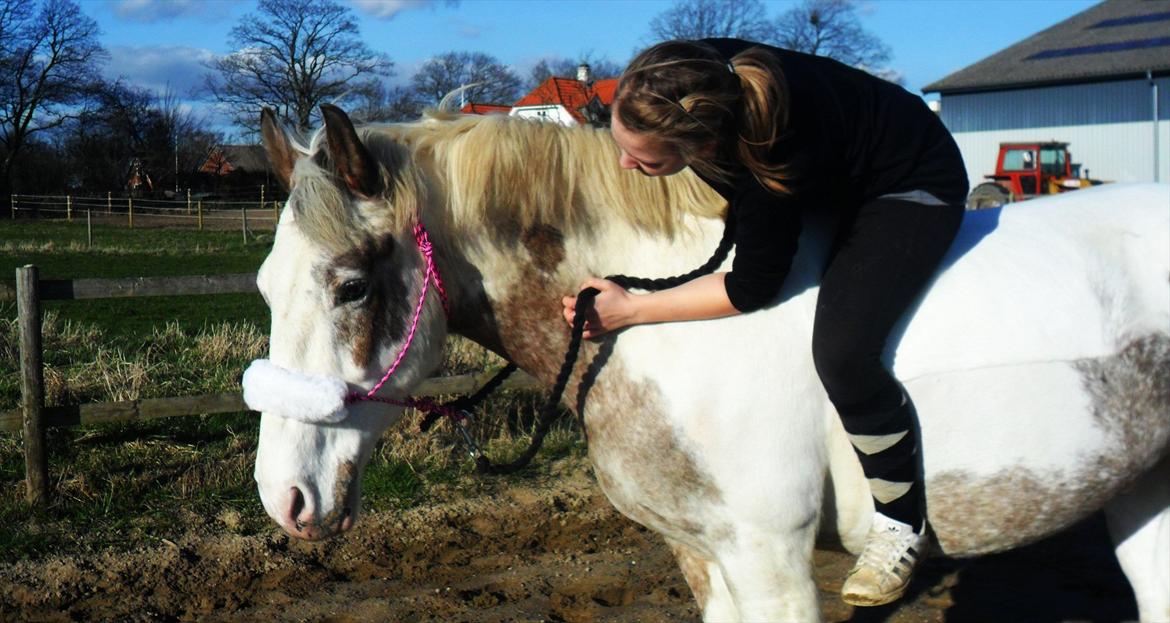 Anden særlig race MR MARTIN - Du er det bedste der er sket!  billede 16