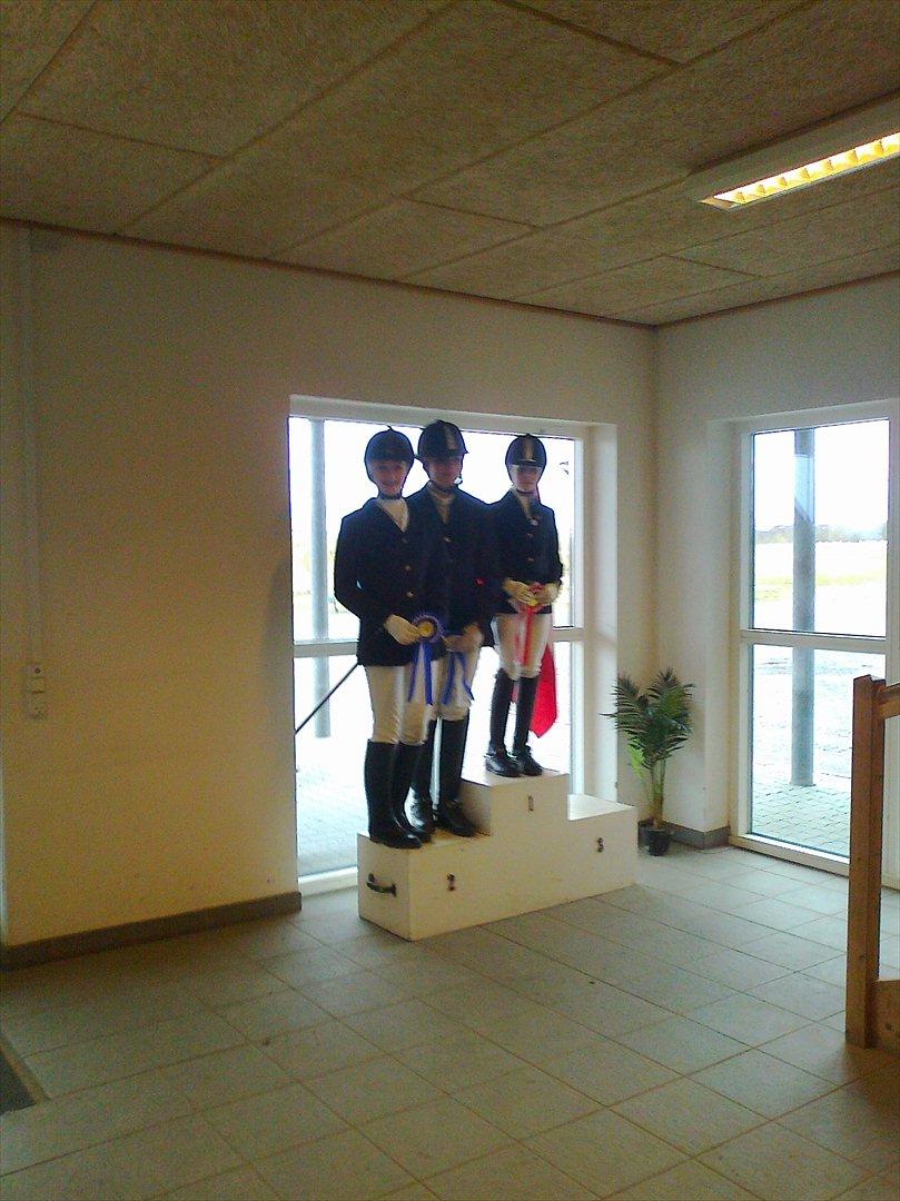 Welsh Pony (sec B) Sille  *A-pony* - det er mig der står på 1 pladsen billede 13