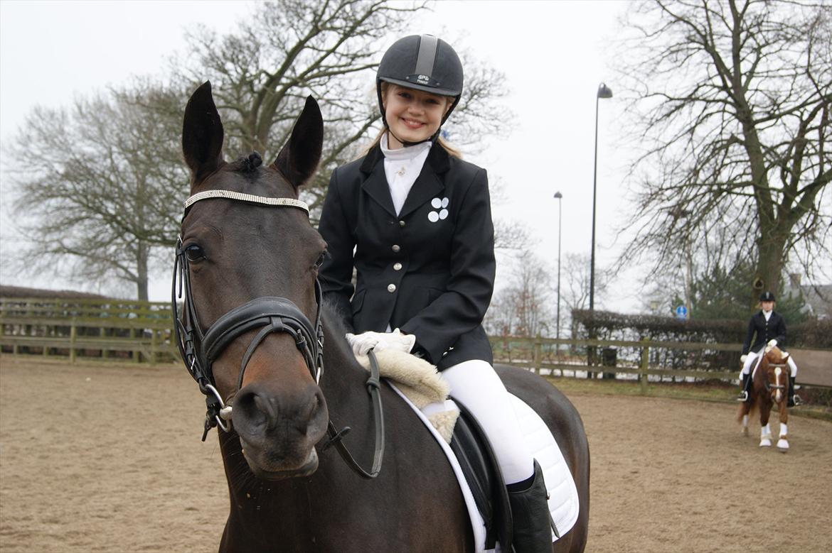 DSP Røgild's Dominique billede 12