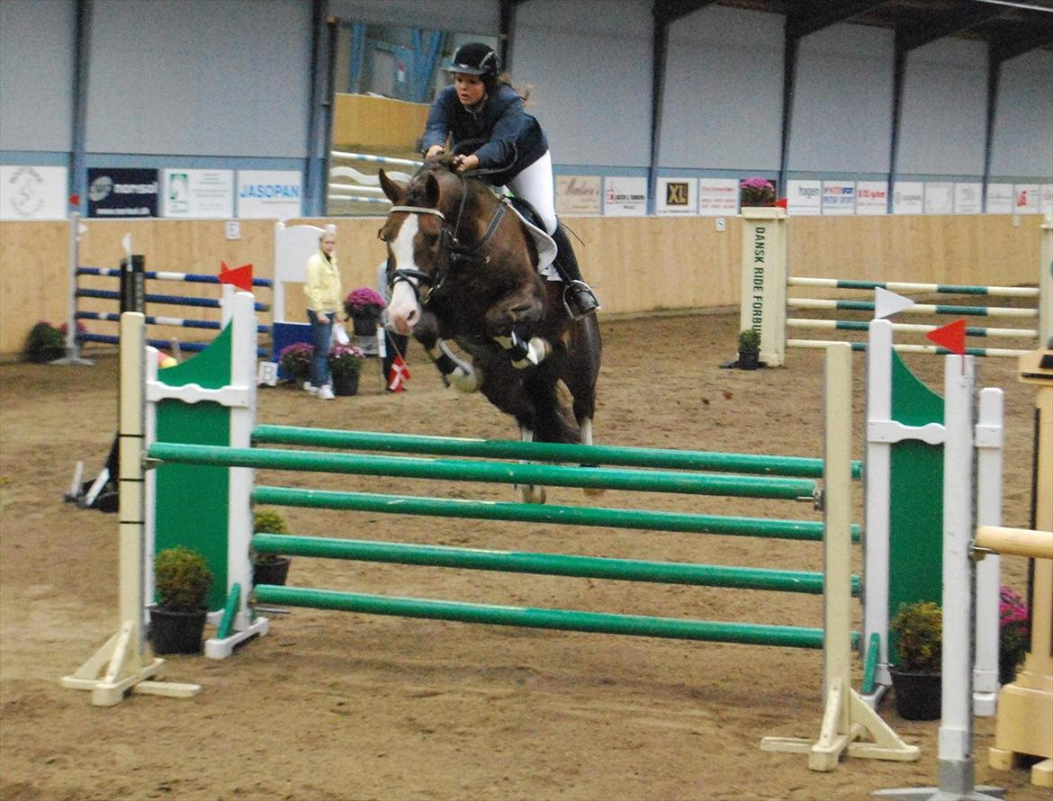 Anden særlig race Revall - maja og revall , billedet har vi fået af zandra billede 15