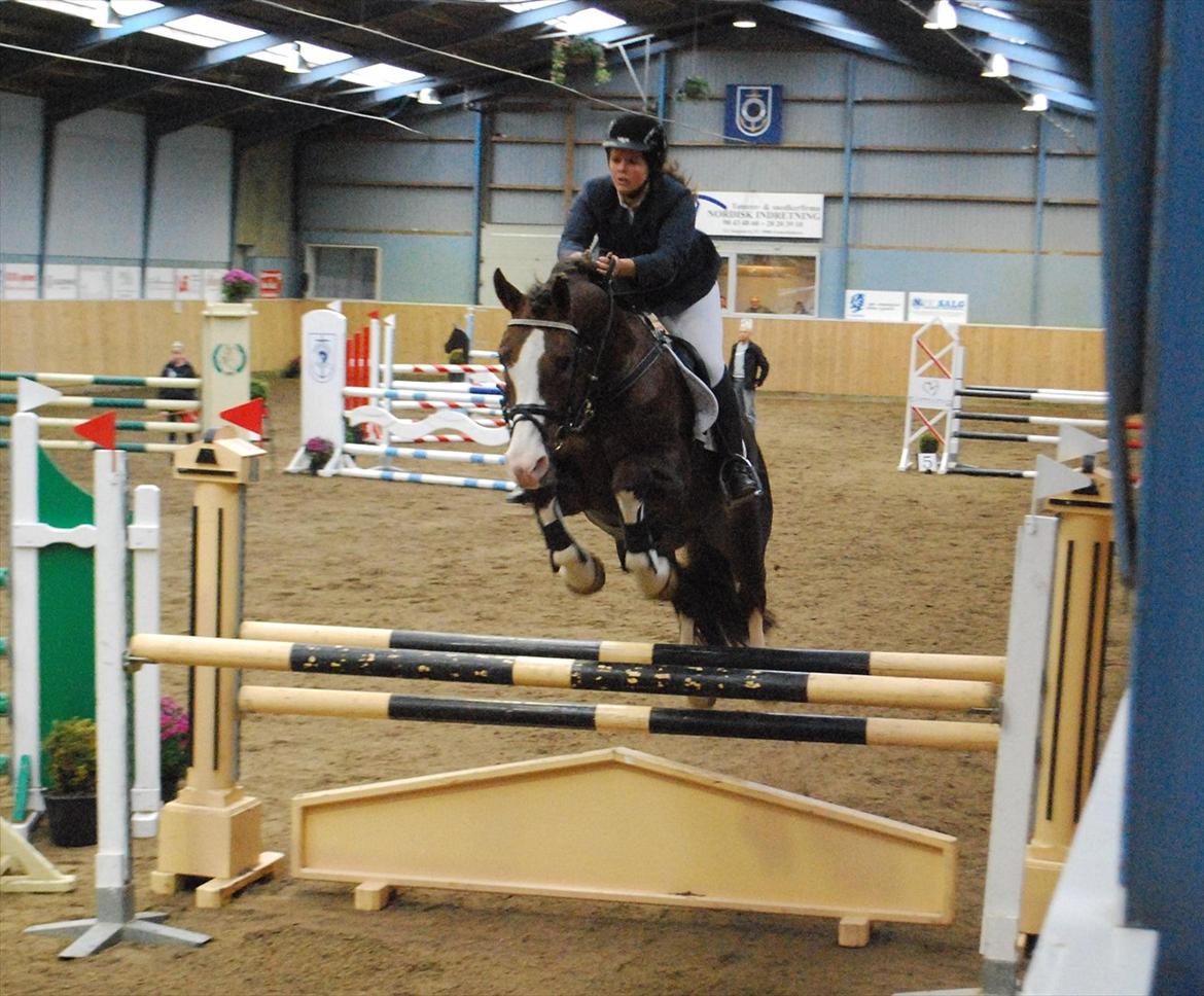 Anden særlig race Revall - maja og revall , billedet har vi fået af zandra billede 16