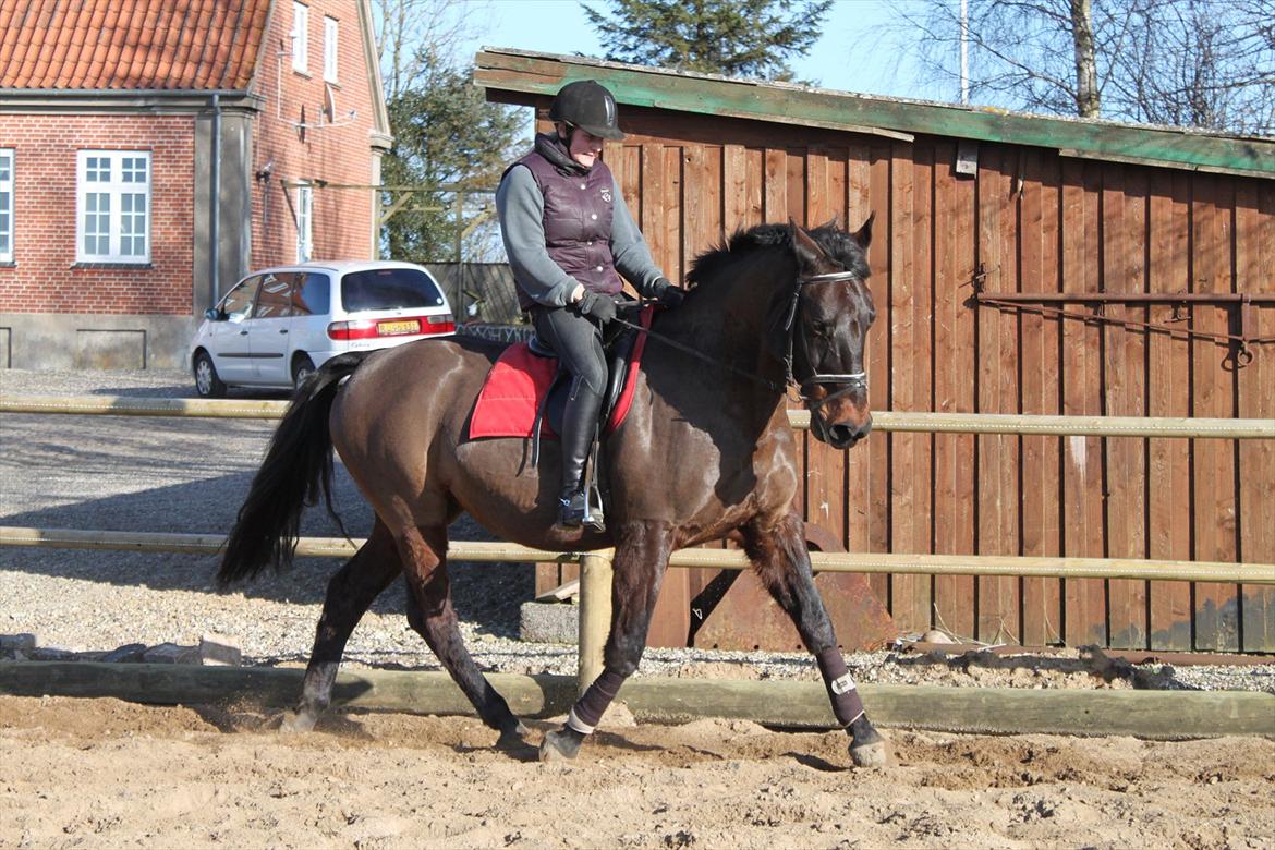 Oldenborg Lady billede 2