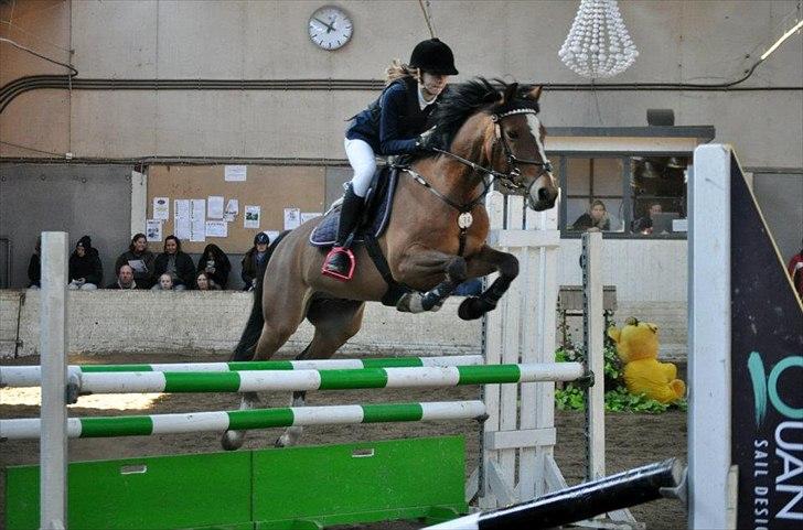 Anden særlig race Ferrari - Min elskede<3 Foto: Thea Christoffersen billede 6