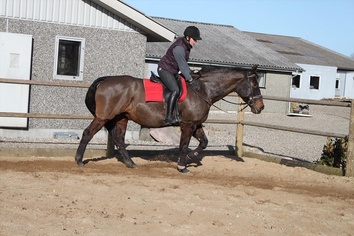 Oldenborg Lady billede 3