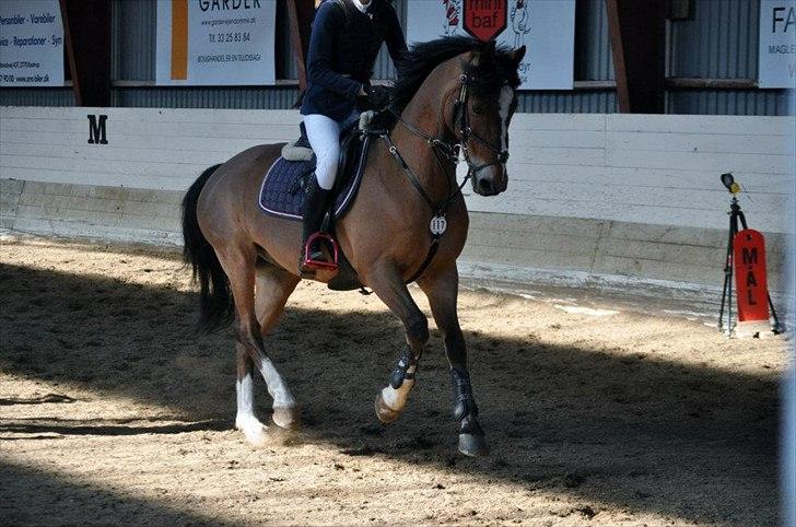 Anden særlig race Ferrari - Lillemand<3 Foto: Thea Christoffersen billede 13