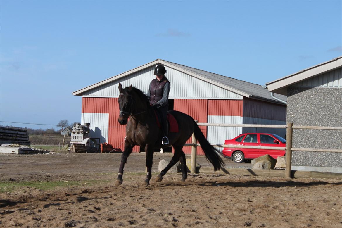 Oldenborg Lady billede 4