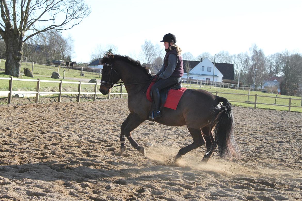 Oldenborg Lady billede 5