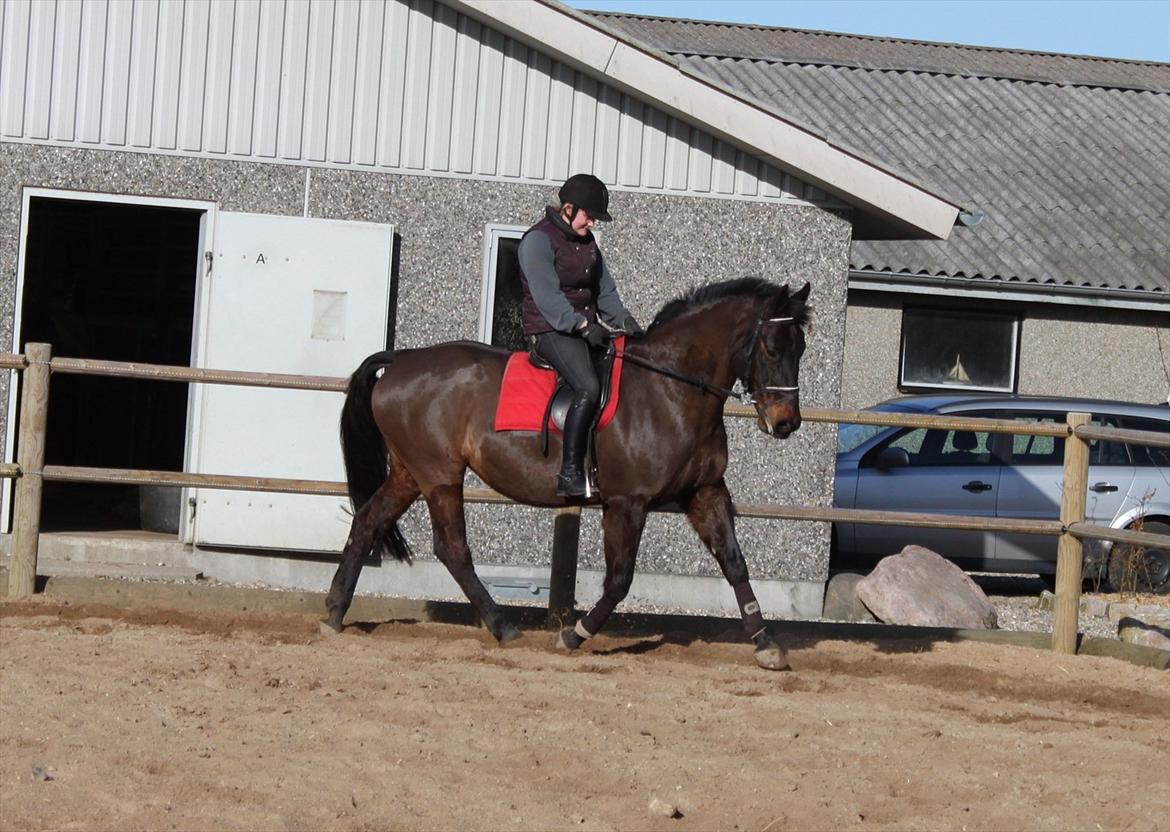 Oldenborg Lady billede 6