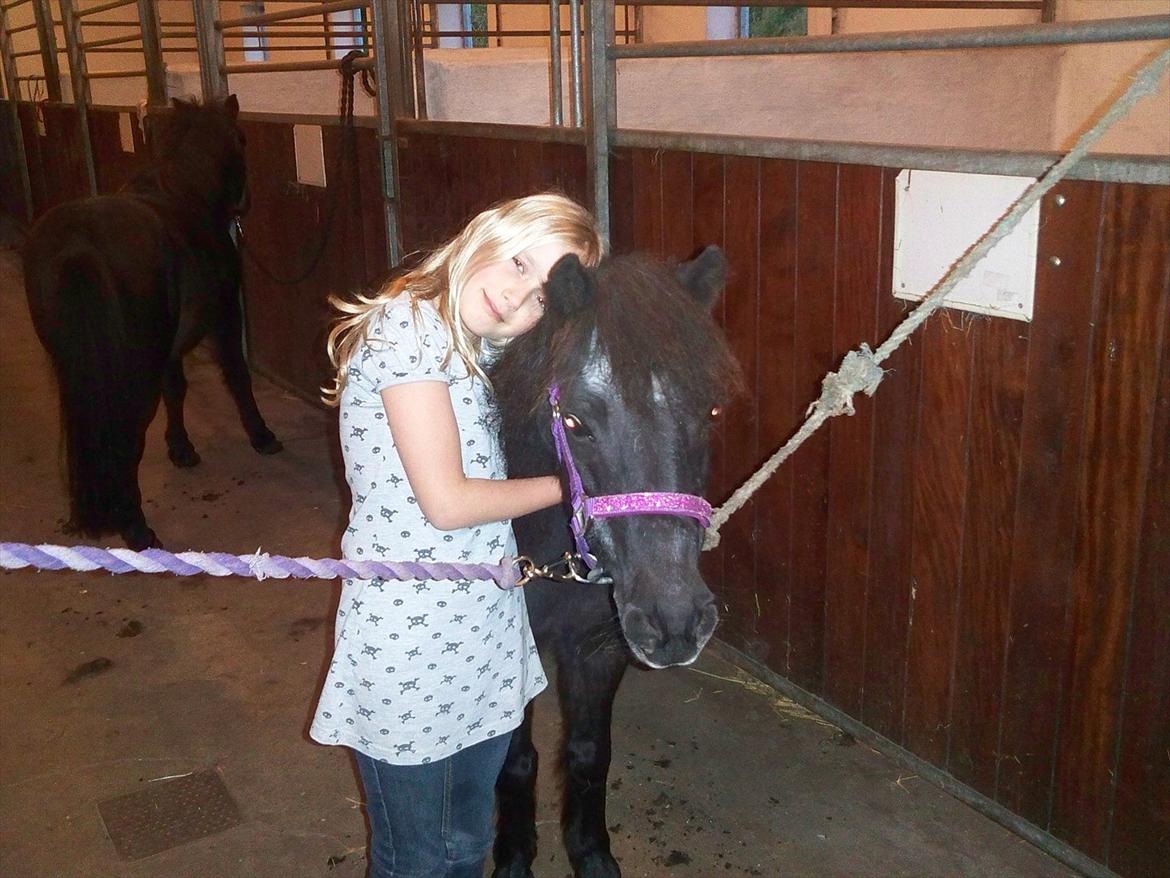 Shetlænder Trine (min første pony) - mig og Trine hjemme i mormors stald billede 10