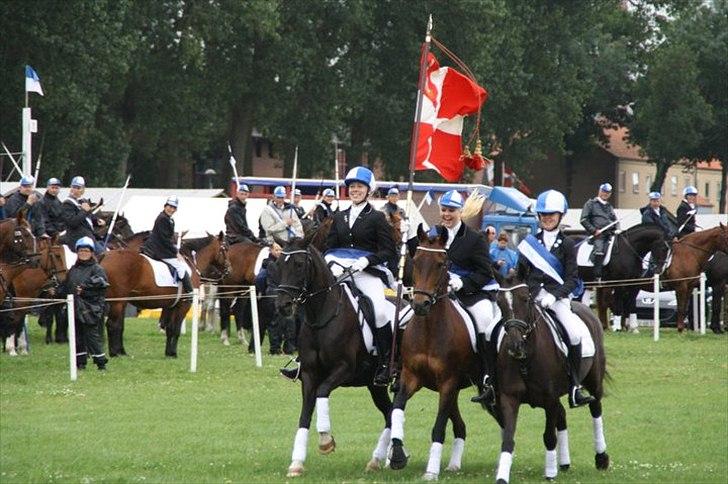 DSP Magic - Faneridning til Aabenraa ringeridning, placeret som nr. 3 i faneridnings konkurrencnen.  billede 12