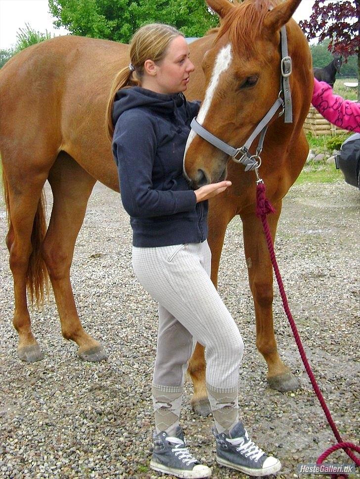 Anden særlig race | Tequila Sunrise «3 | R.I.P 25-06-2012 billede 17