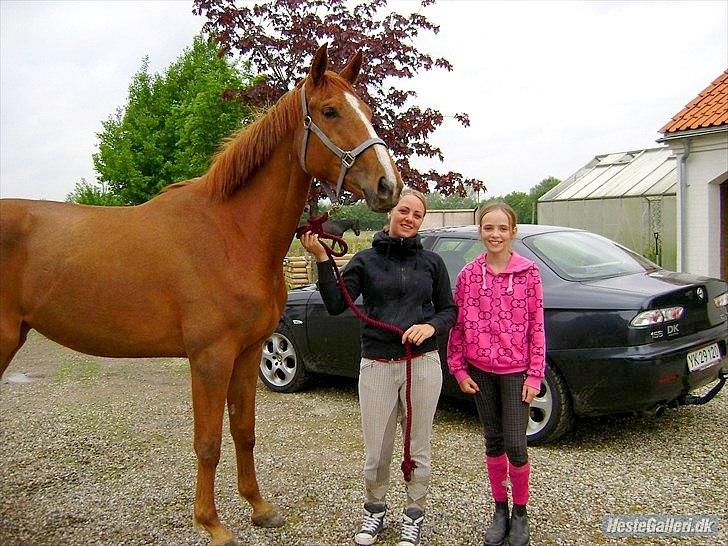 Anden særlig race | Tequila Sunrise «3 | R.I.P 25-06-2012 billede 18