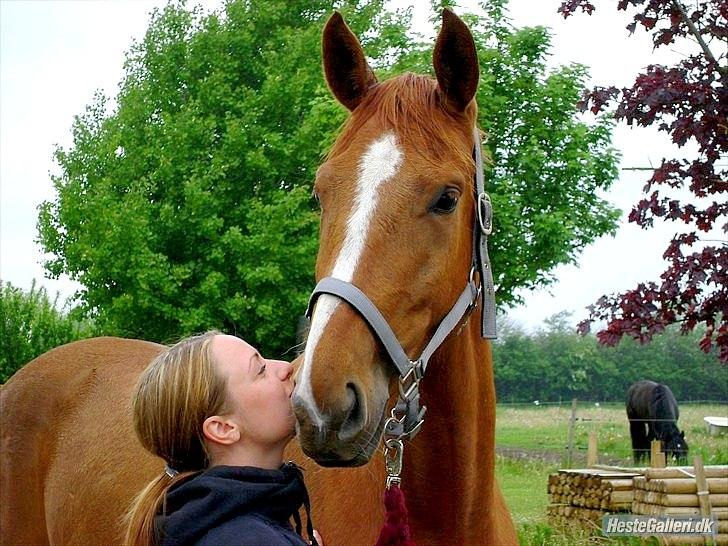 Anden særlig race | Tequila Sunrise «3 | R.I.P 25-06-2012 billede 16